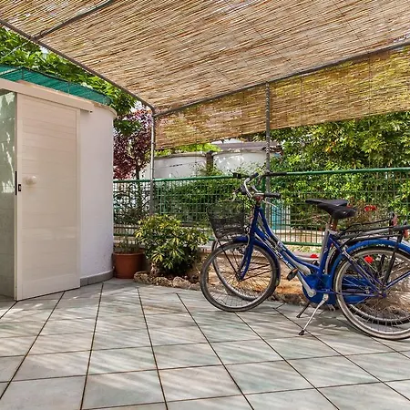 Victory * Specchiolla