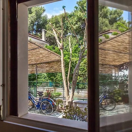 Villa Victory Specchiolla